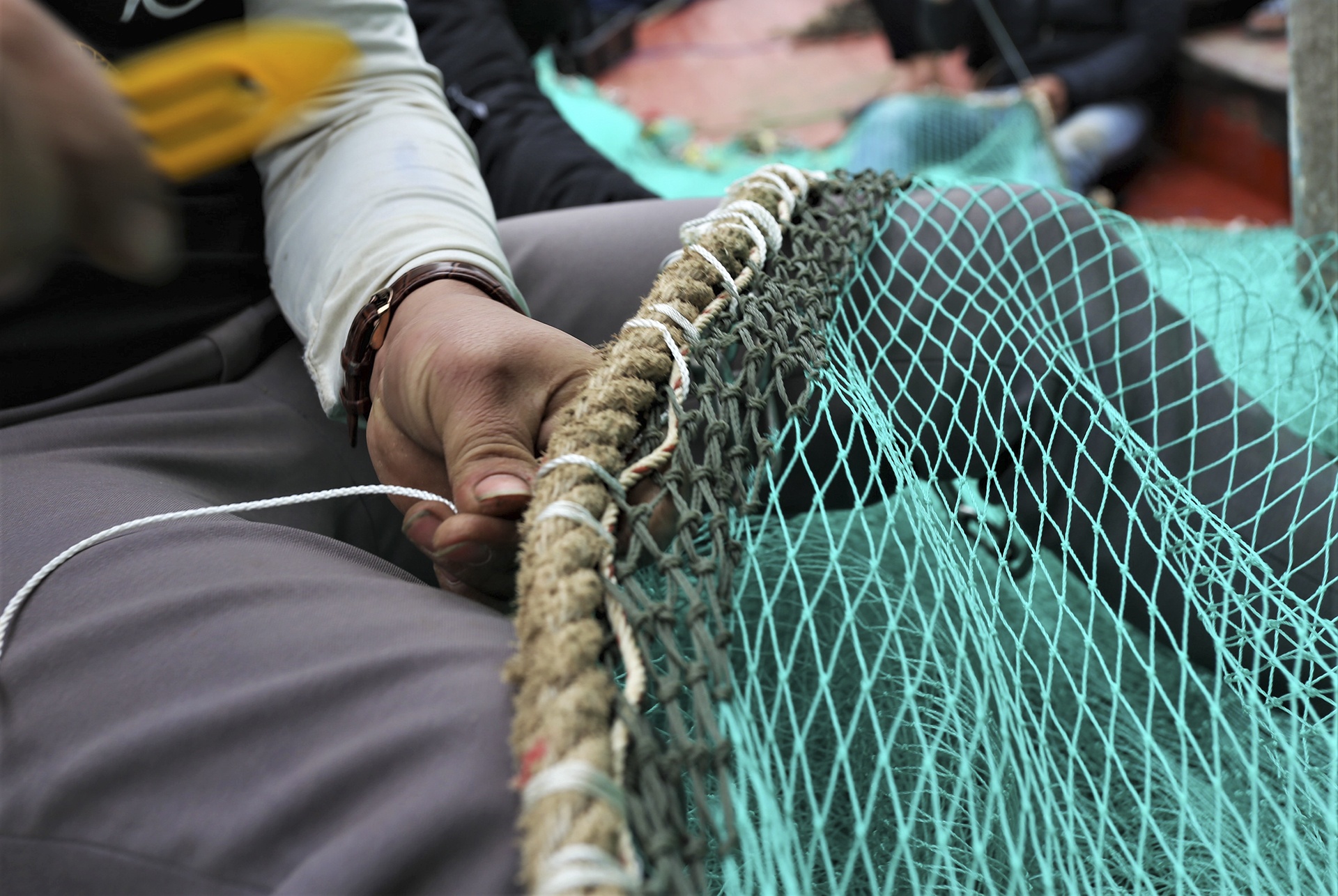 nghề biển thiếu lao động ảnh 4 nghe bien thieu lao dong anh 4