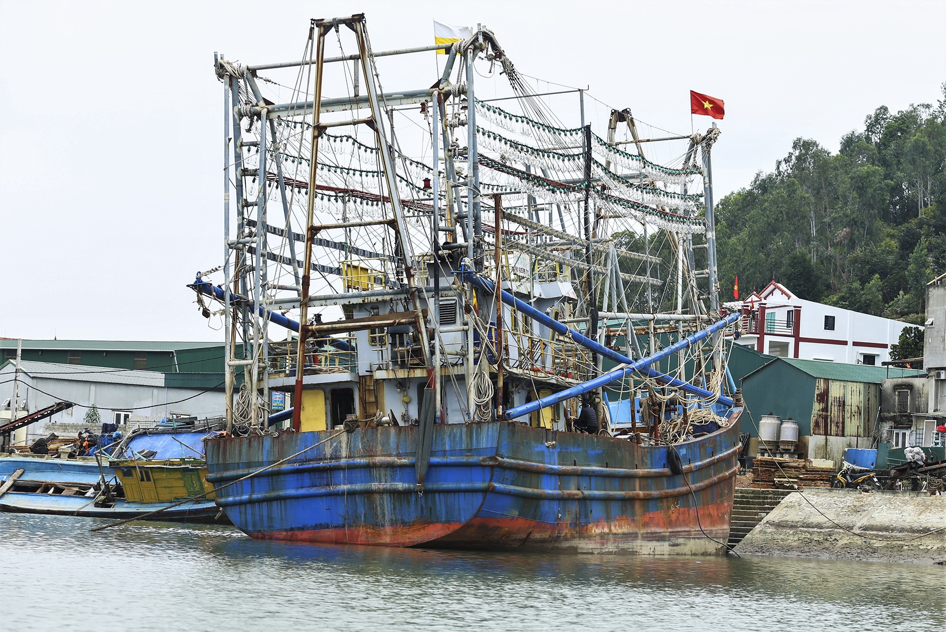 nghề biển thiếu lao động ảnh 7 nghe bien thieu lao dong anh 7