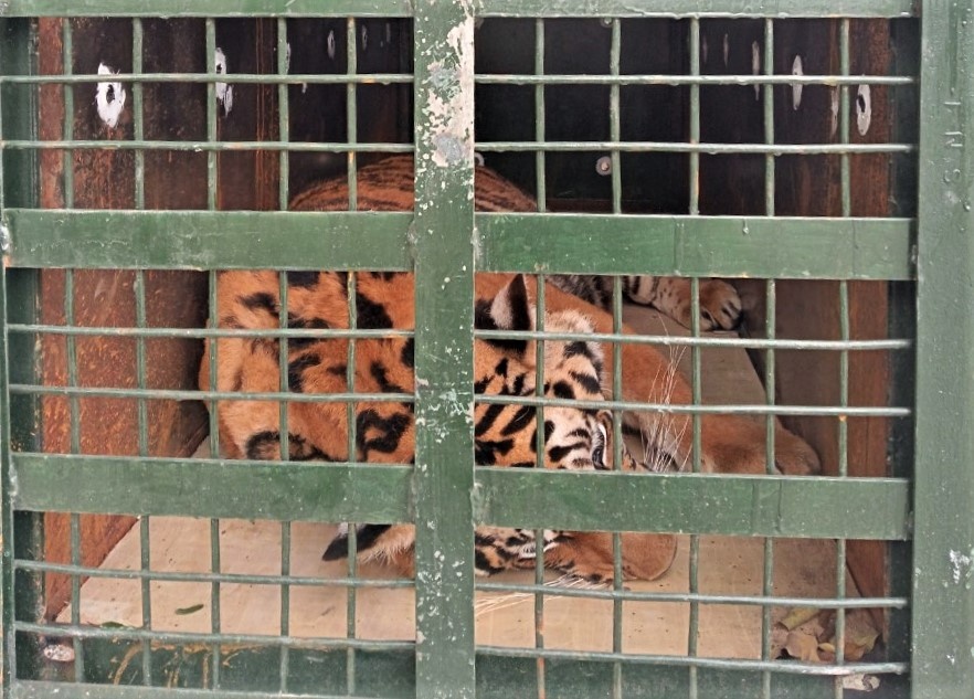 8 con ho o Nghe An anh 1