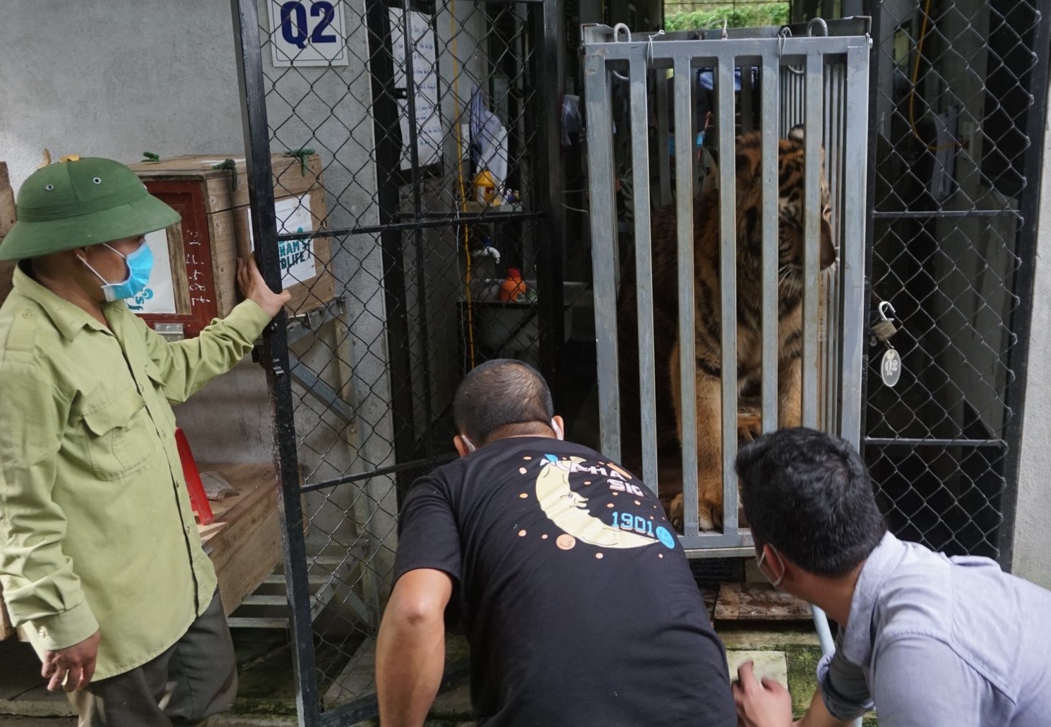 Khong ban thuoc me 7 con ho duoc dua vao Quang Binh hinh anh