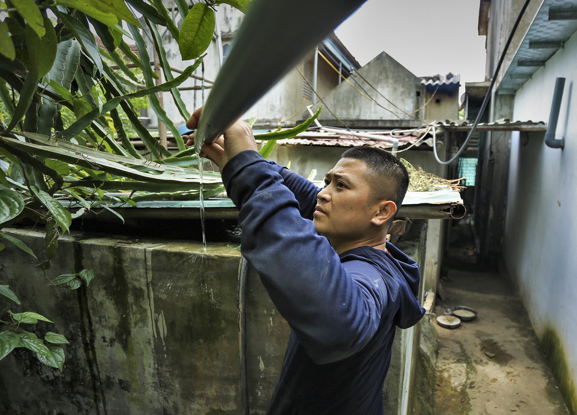 ho sut lun o Nghe An anh 5