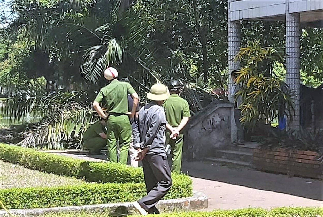cay de tu vong anh 1