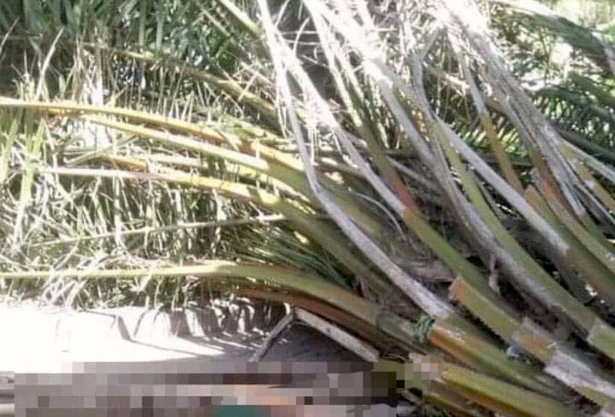 Nguoi dan ong bi cay de tu vong hinh anh