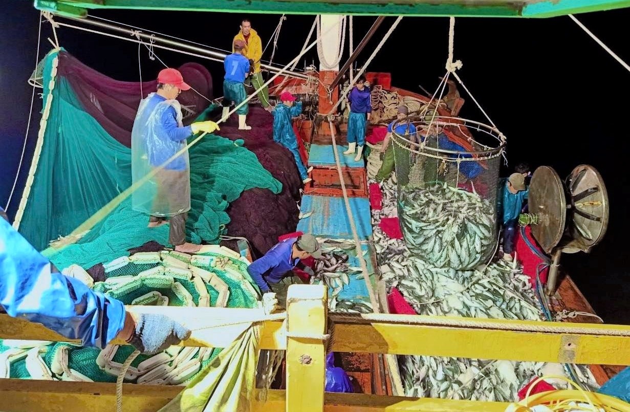 Ngu dan Quang Binh trung 250 tan ca nuc hinh anh