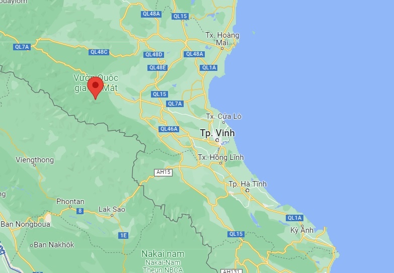 voi rung xuat hien anh 2