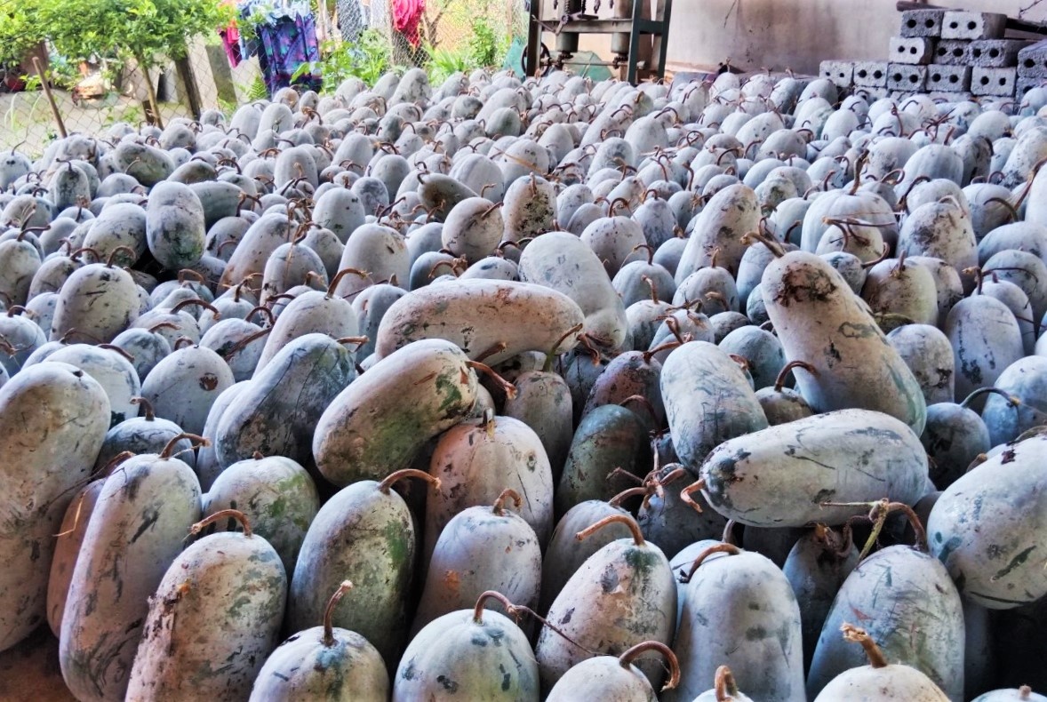 Hang tram tan bi xanh chat dong vi khong co nguoi mua hinh anh