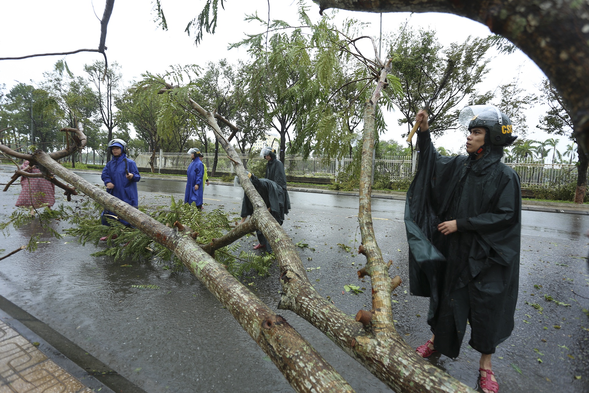 bao so 4 do bo anh 14