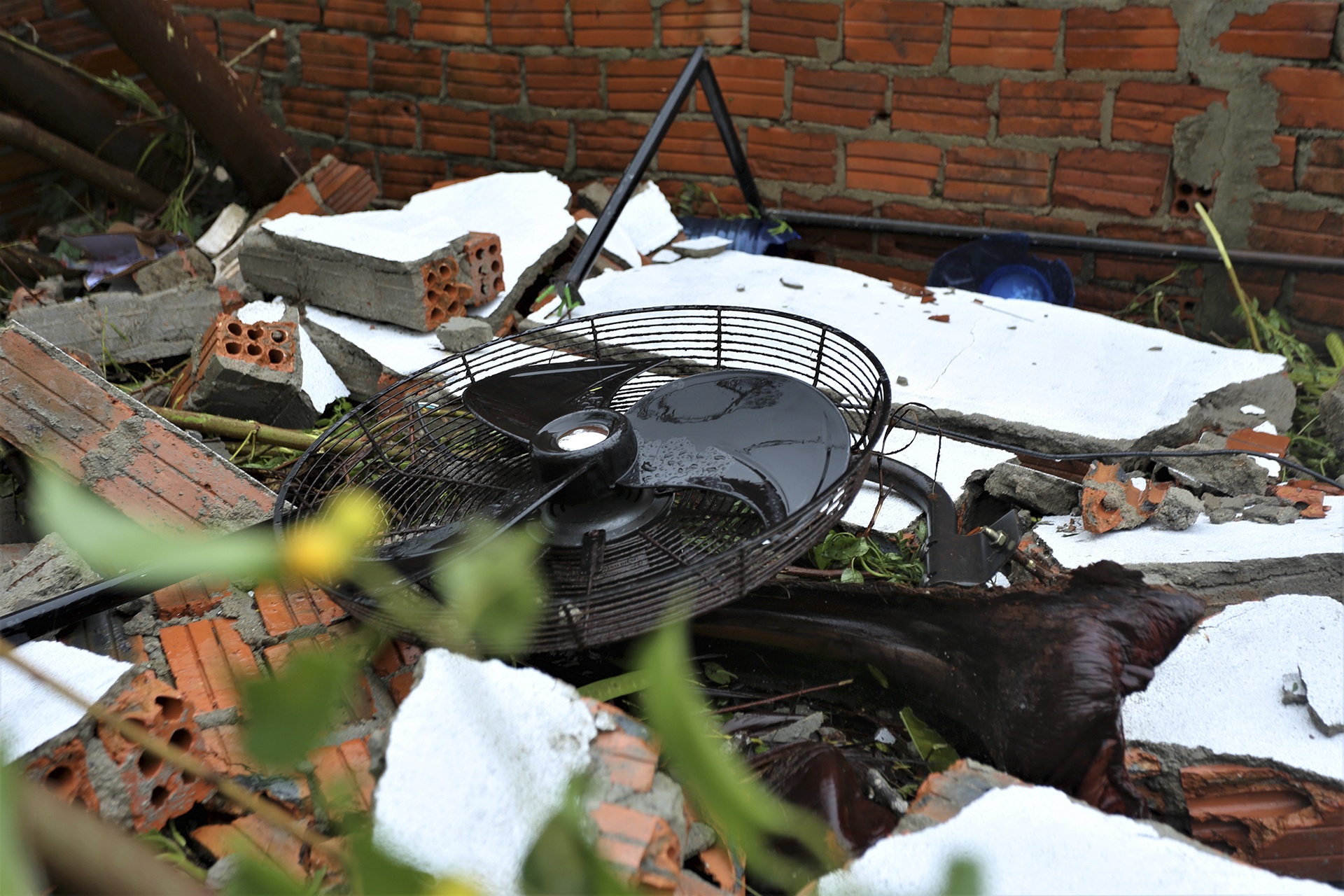 bao so 4 do bo anh 11