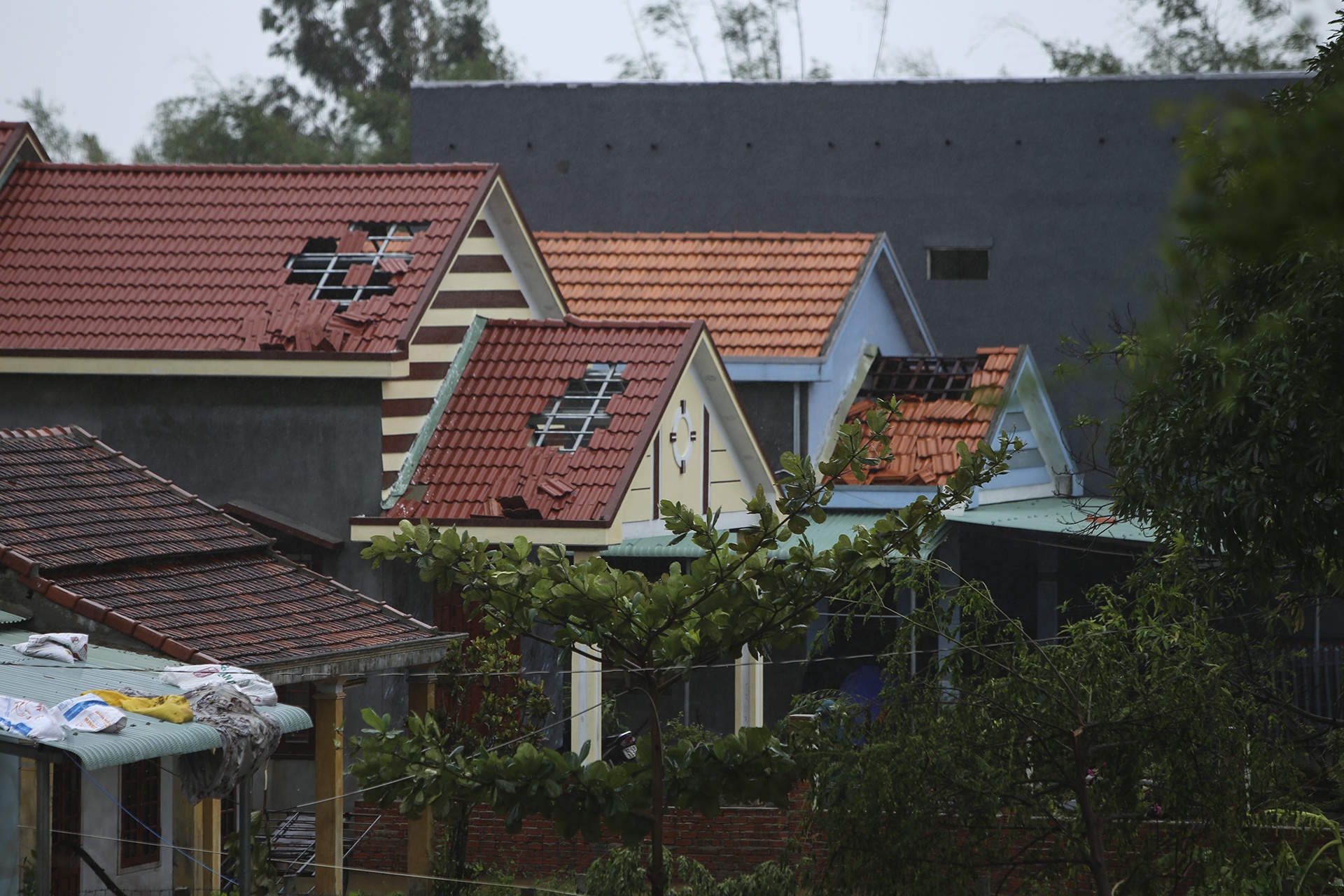 bao so 4 do bo anh 8