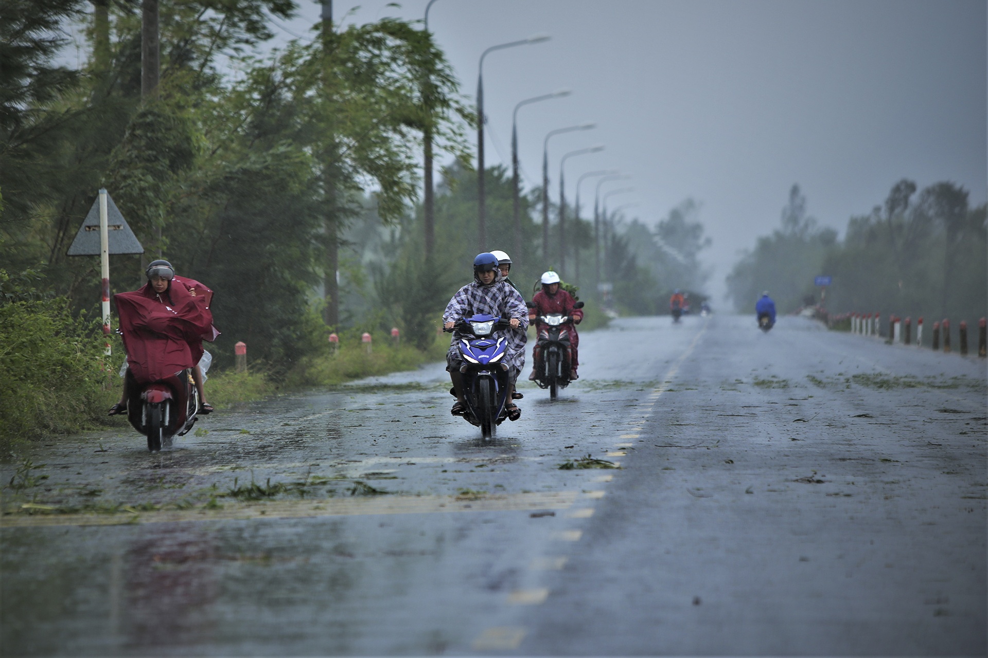 bao so 4 do bo anh 13