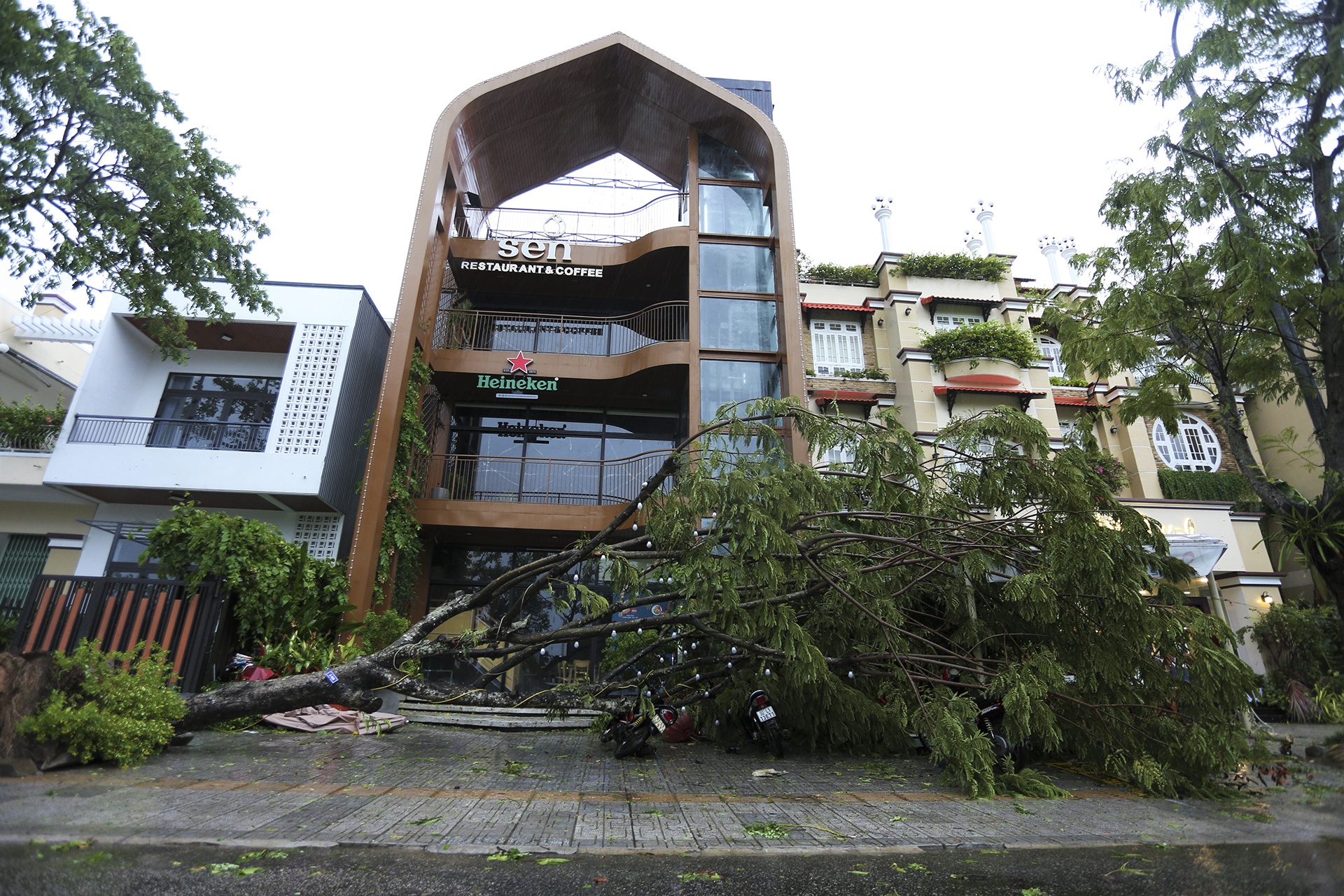 bao so 4 do bo anh 2