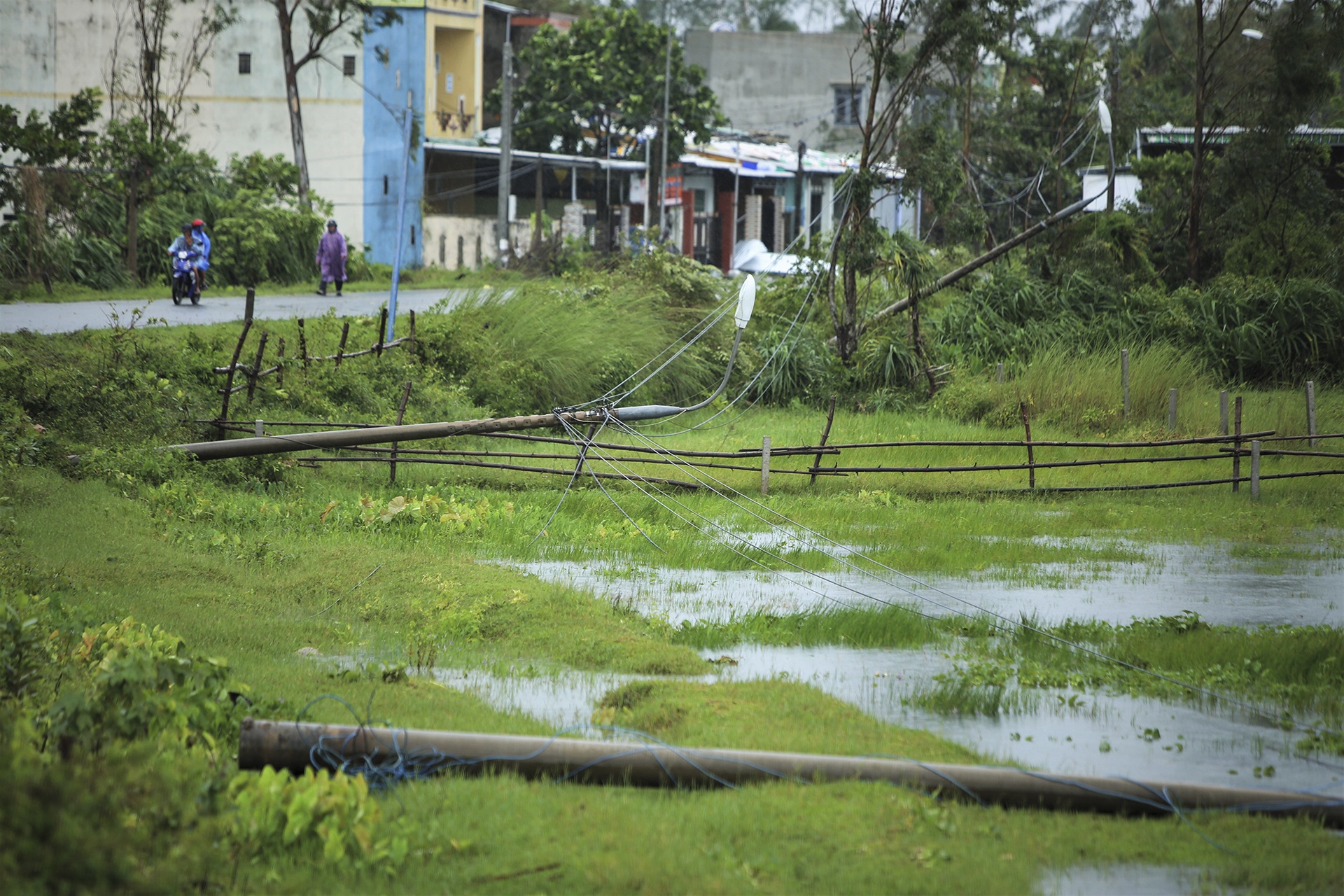 bao so 4 do bo anh 5