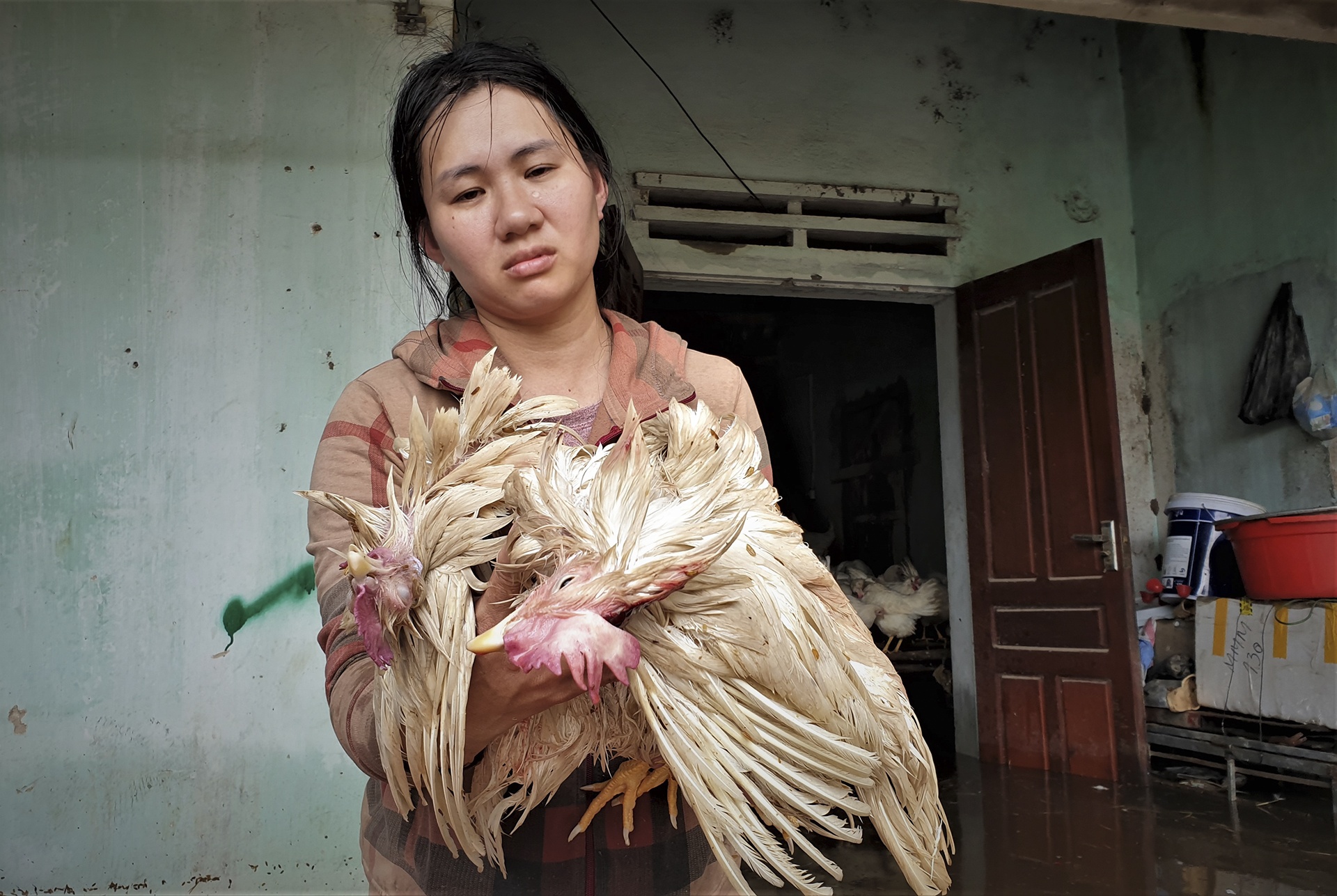 mua lu Nghe An anh 2