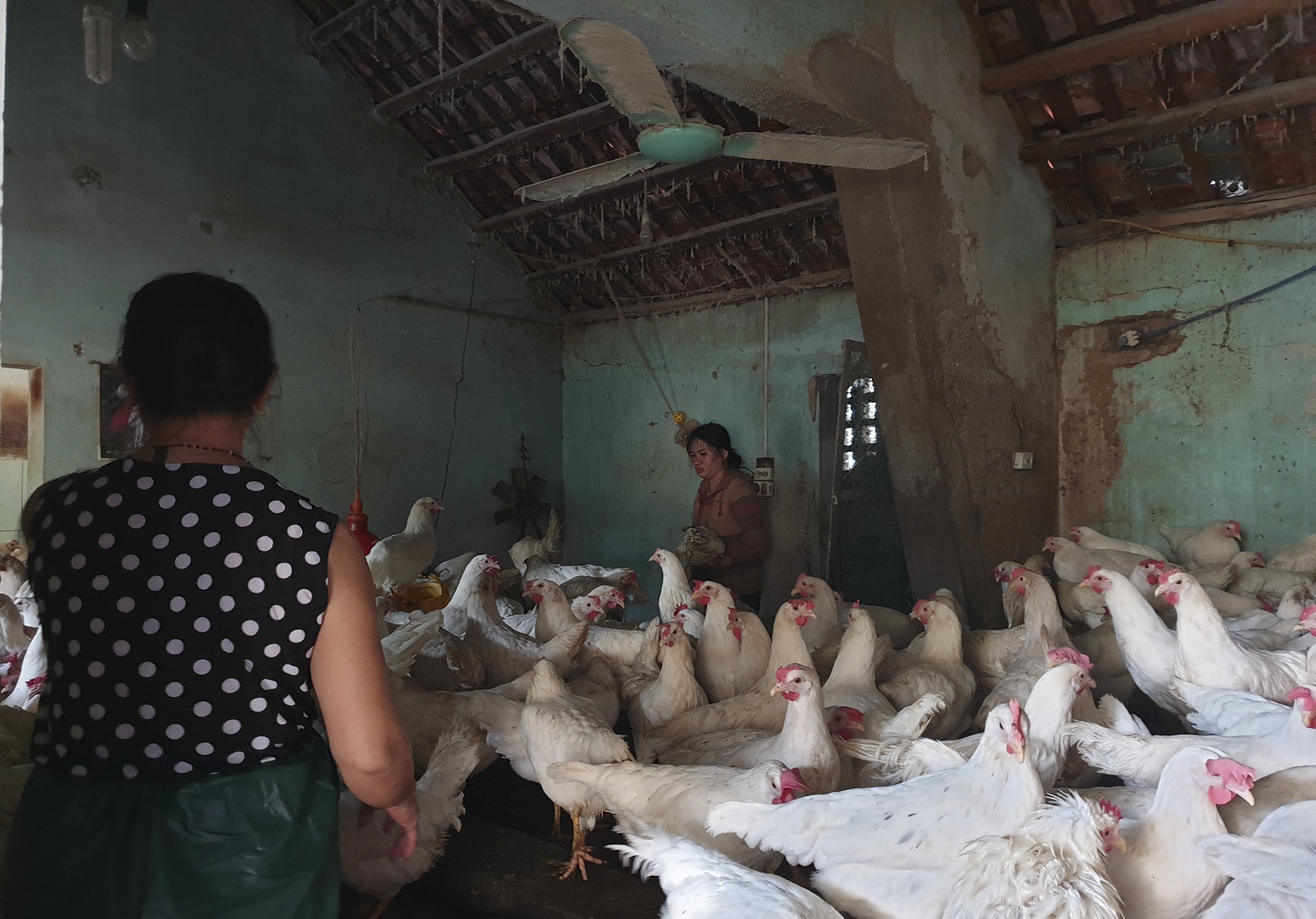 mua lu Nghe An anh 2