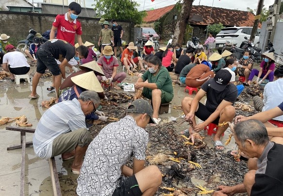 Trai ga 4.000 con chet sach trong lu hinh anh