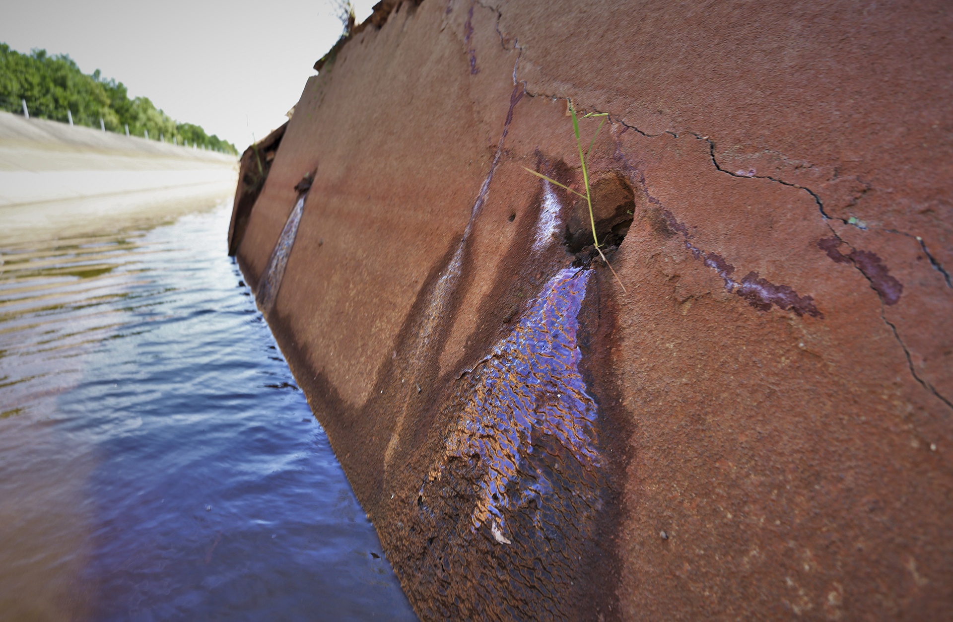 kenh nghin ty hong anh 7