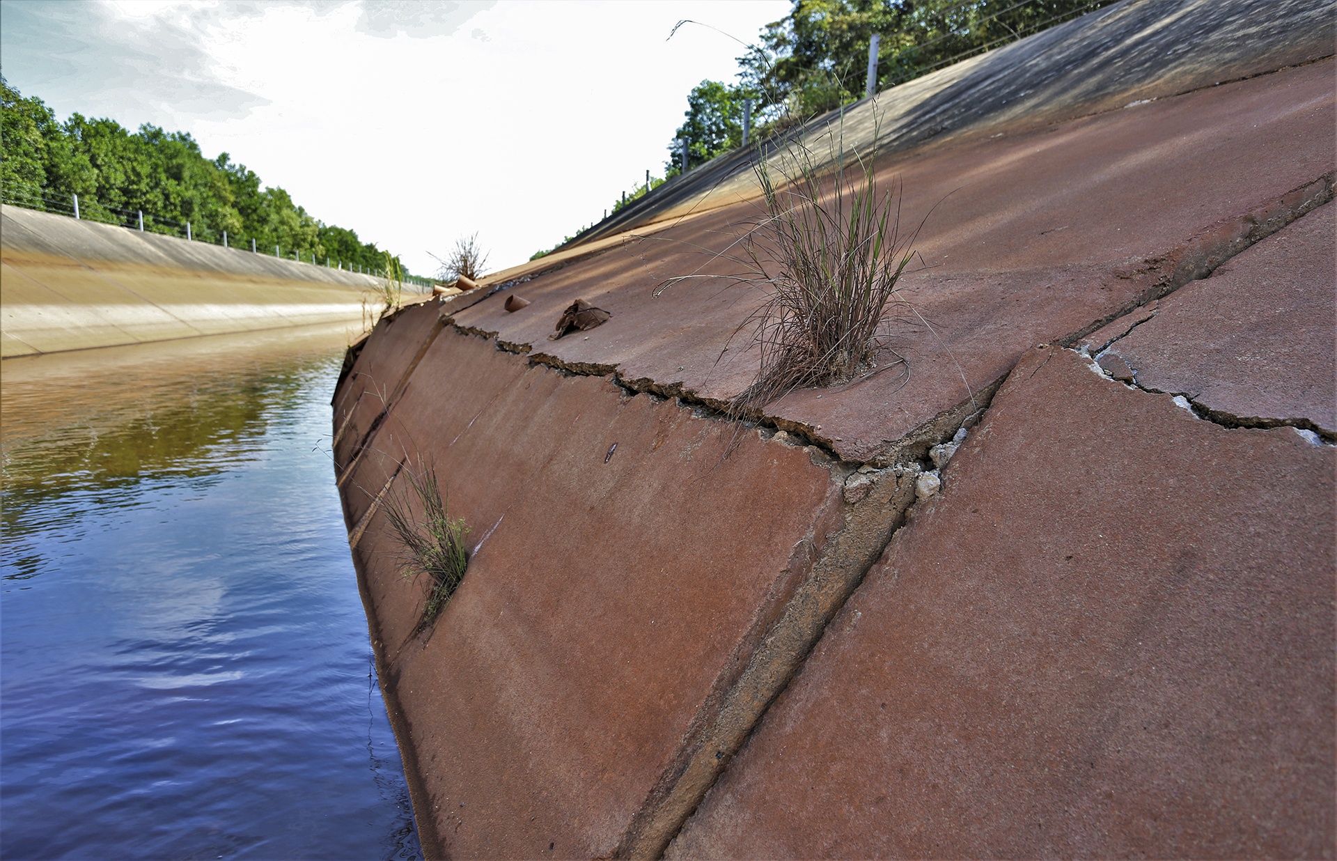 kenh nghin ty hong anh 1