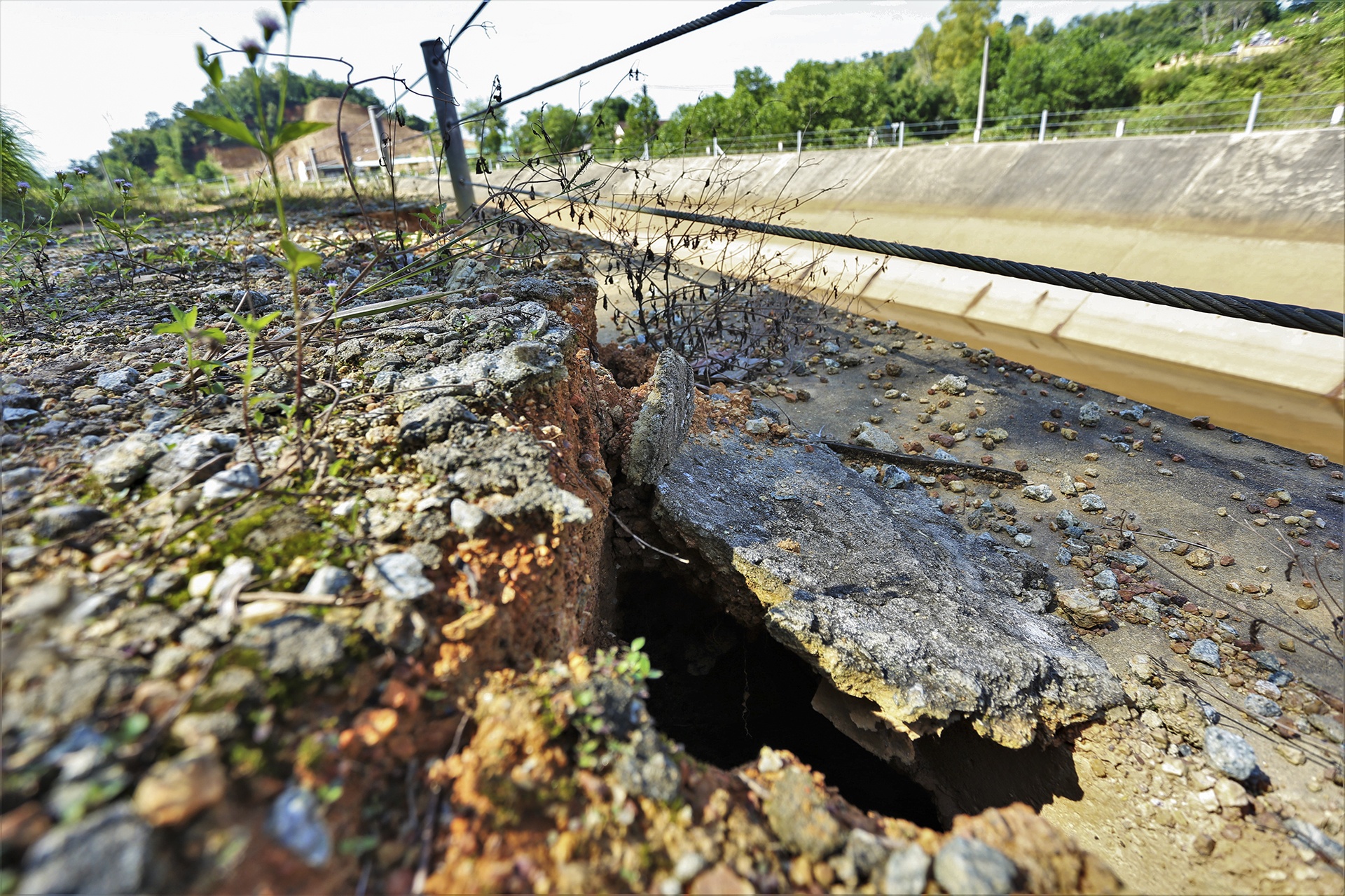 kenh nghin ty hong anh 4