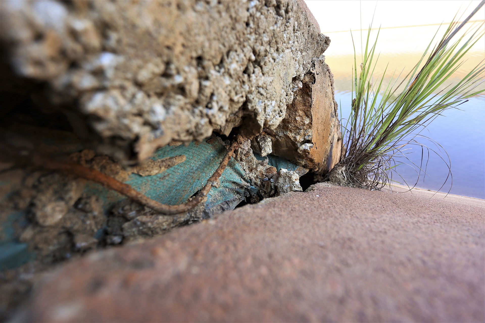 kenh nghin ty hong anh 6