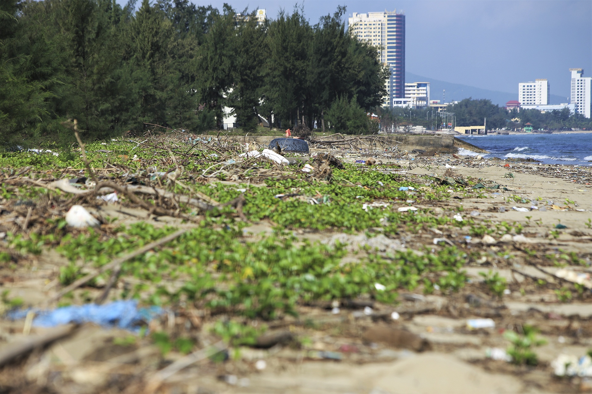 du an bo hoang anh 10