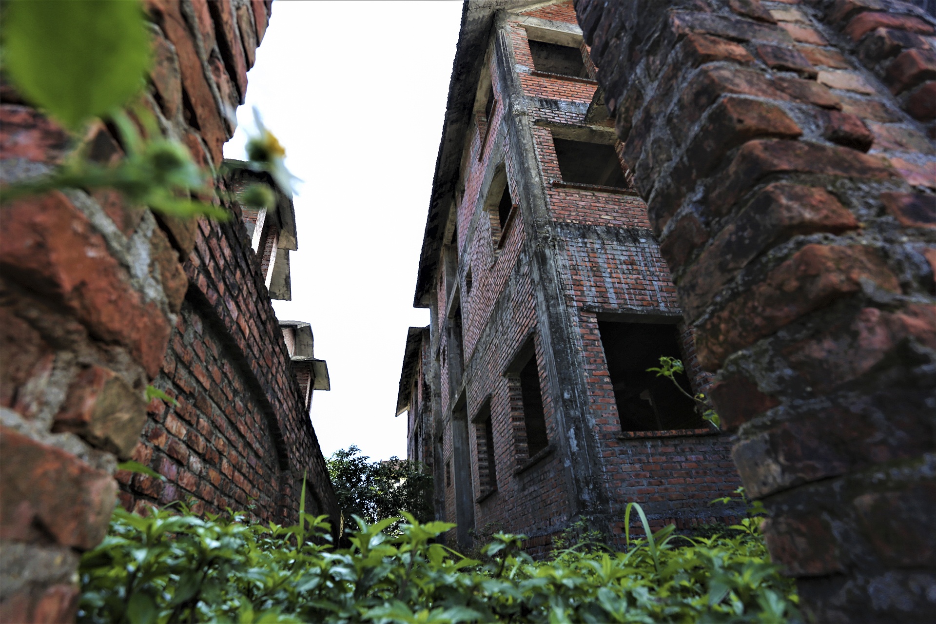 du an bo hoang anh 18