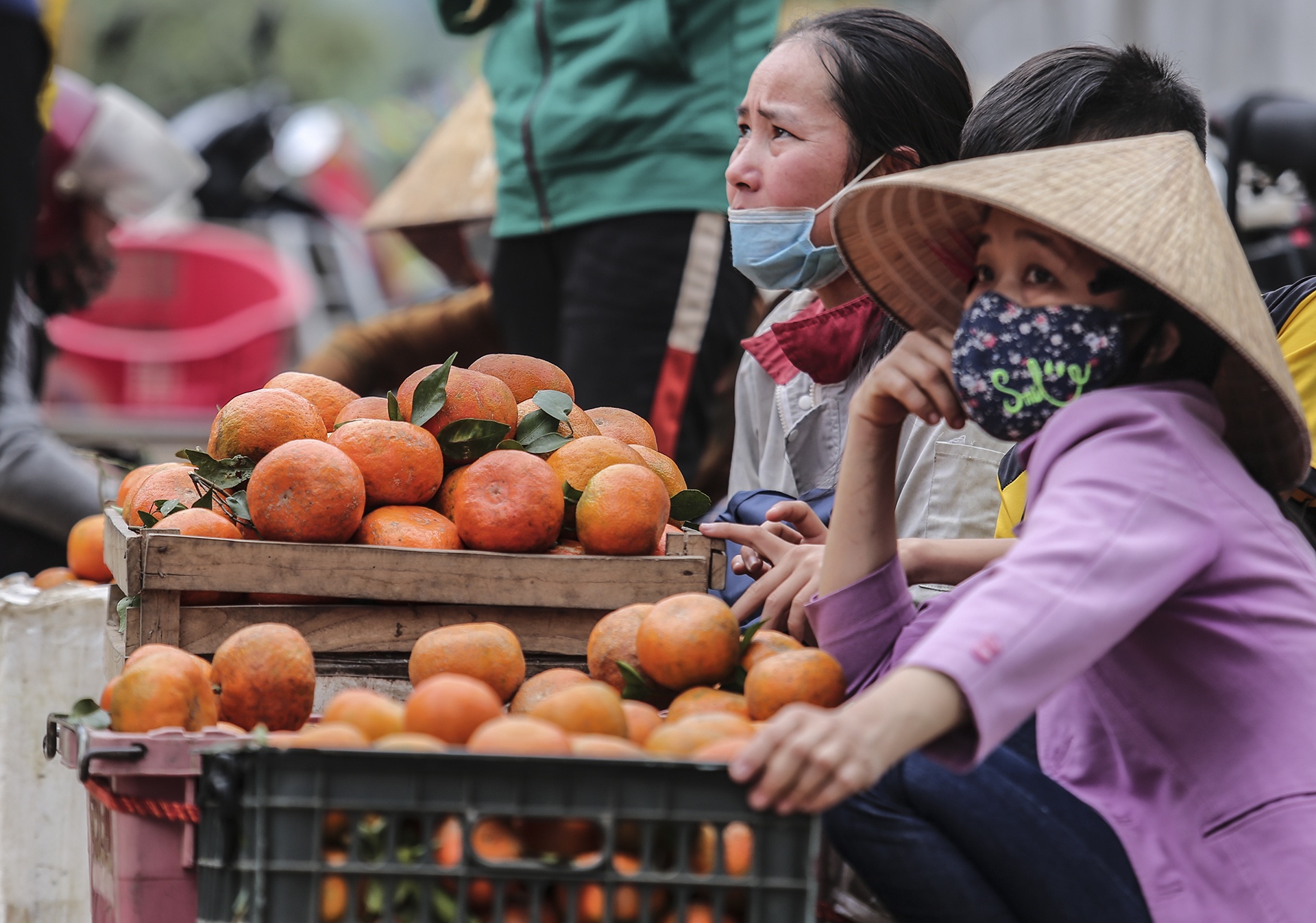 gia cam tang cao anh 12