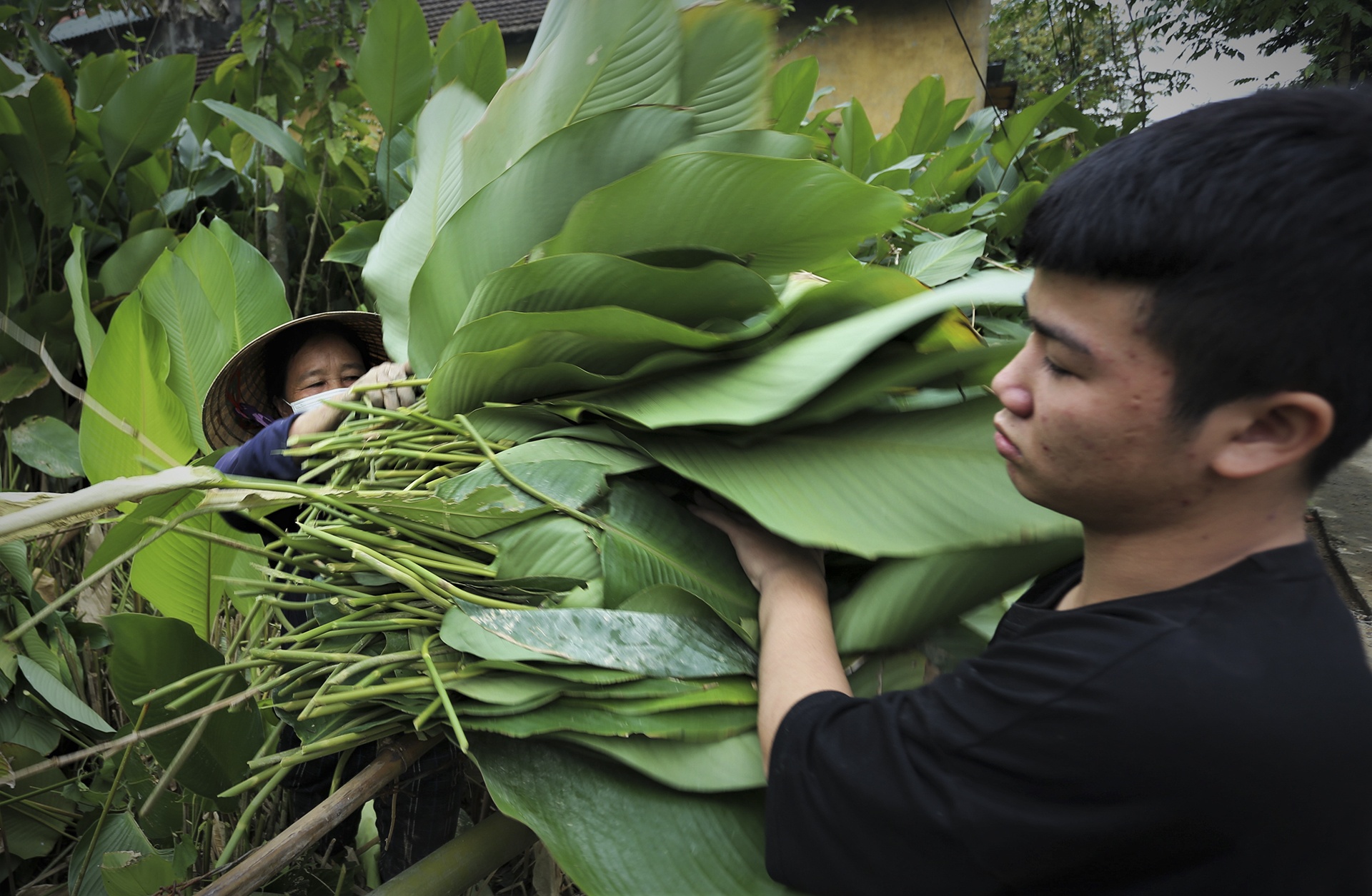 vung trong la dong anh 4