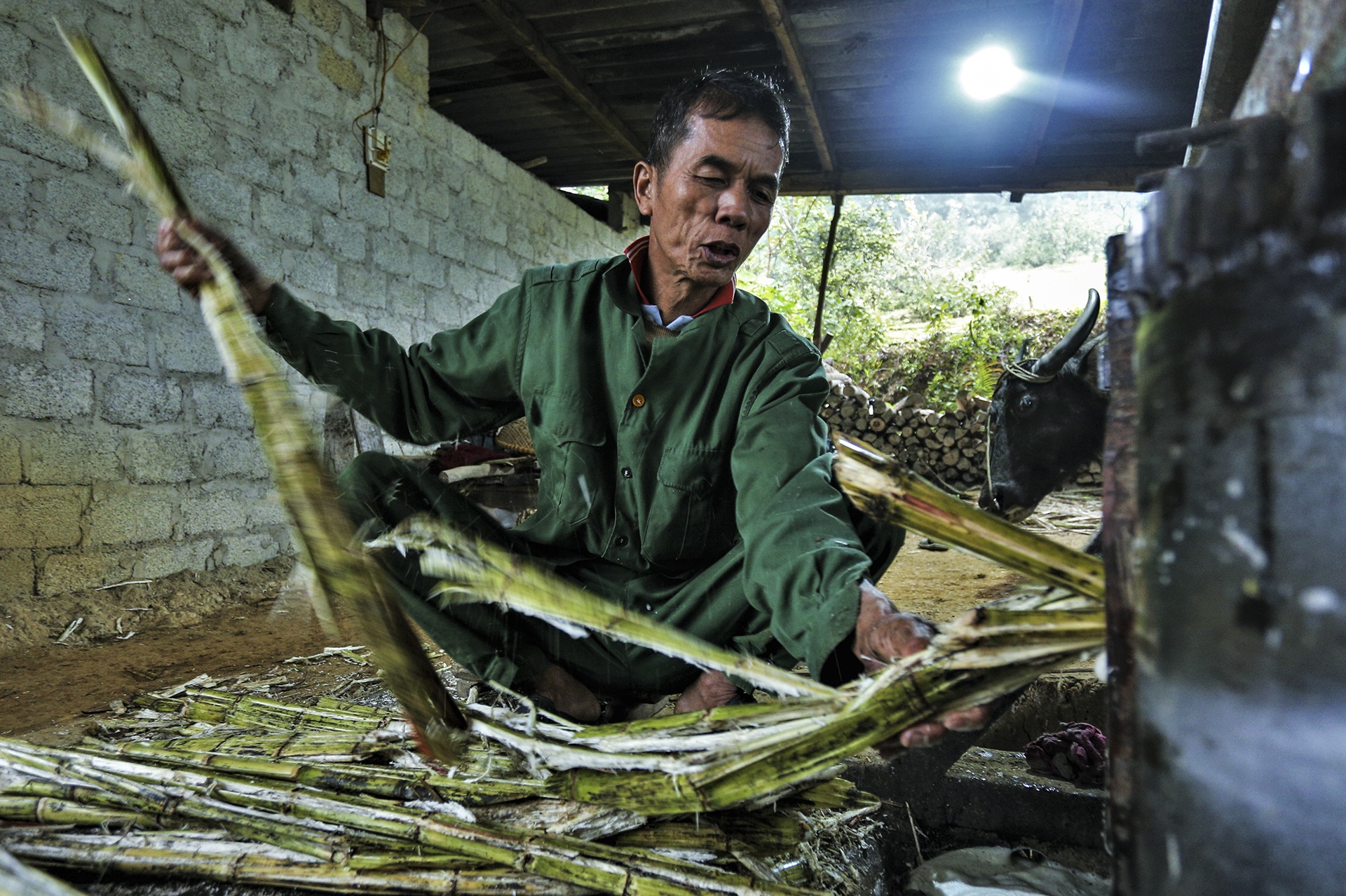 mat mia vao vu anh 3