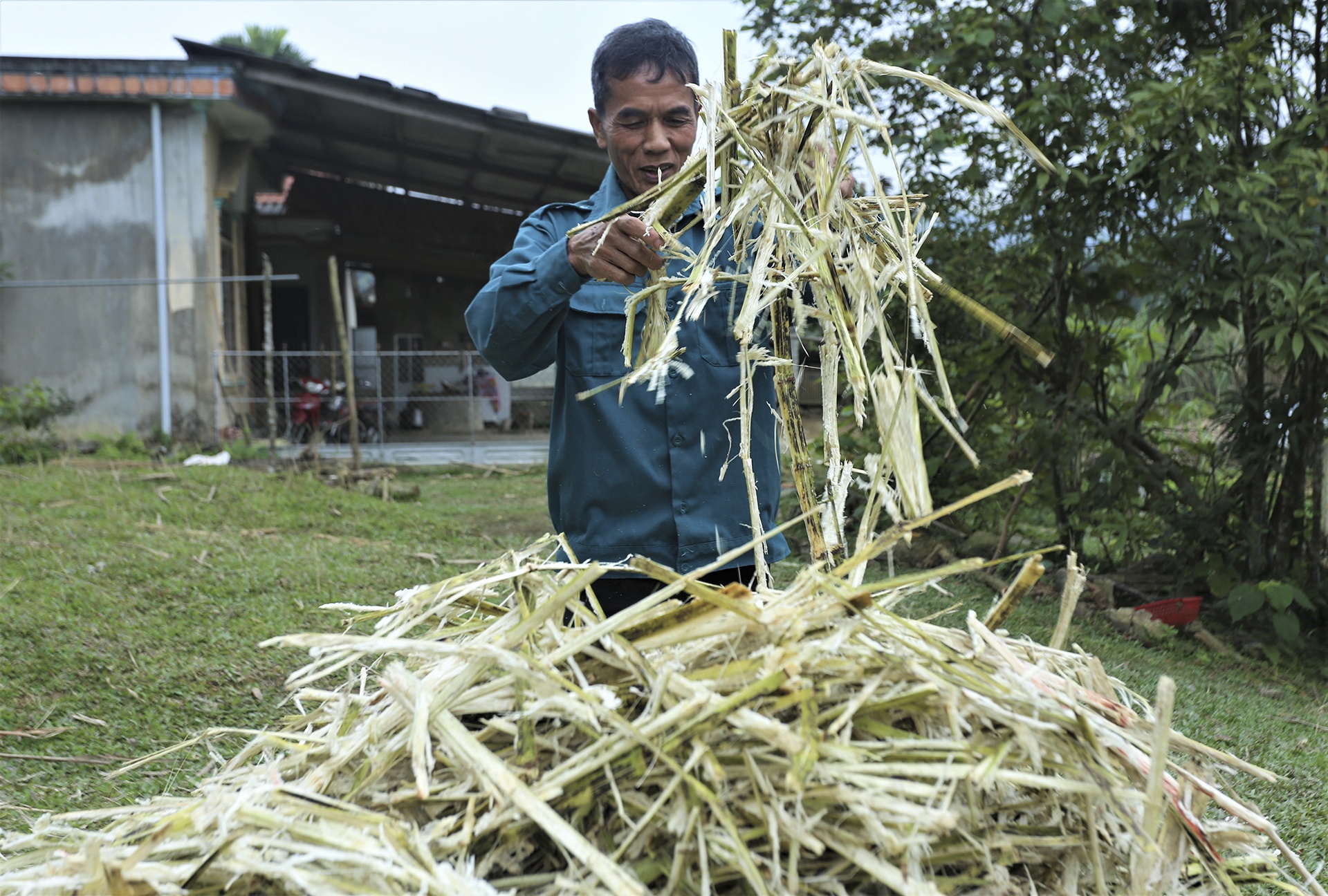 mat mia vao vu anh 10
