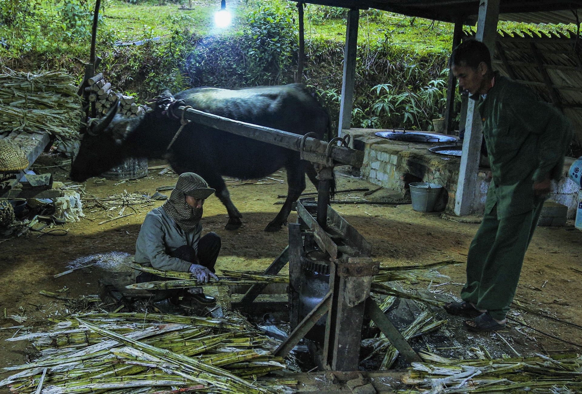 mat mia vao vu anh 2