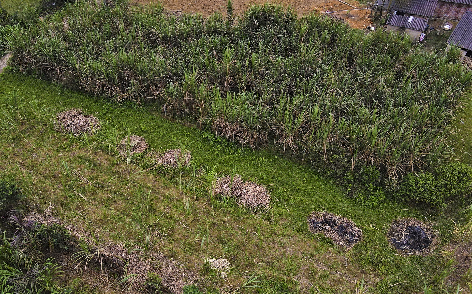 mat mia vao vu anh 11