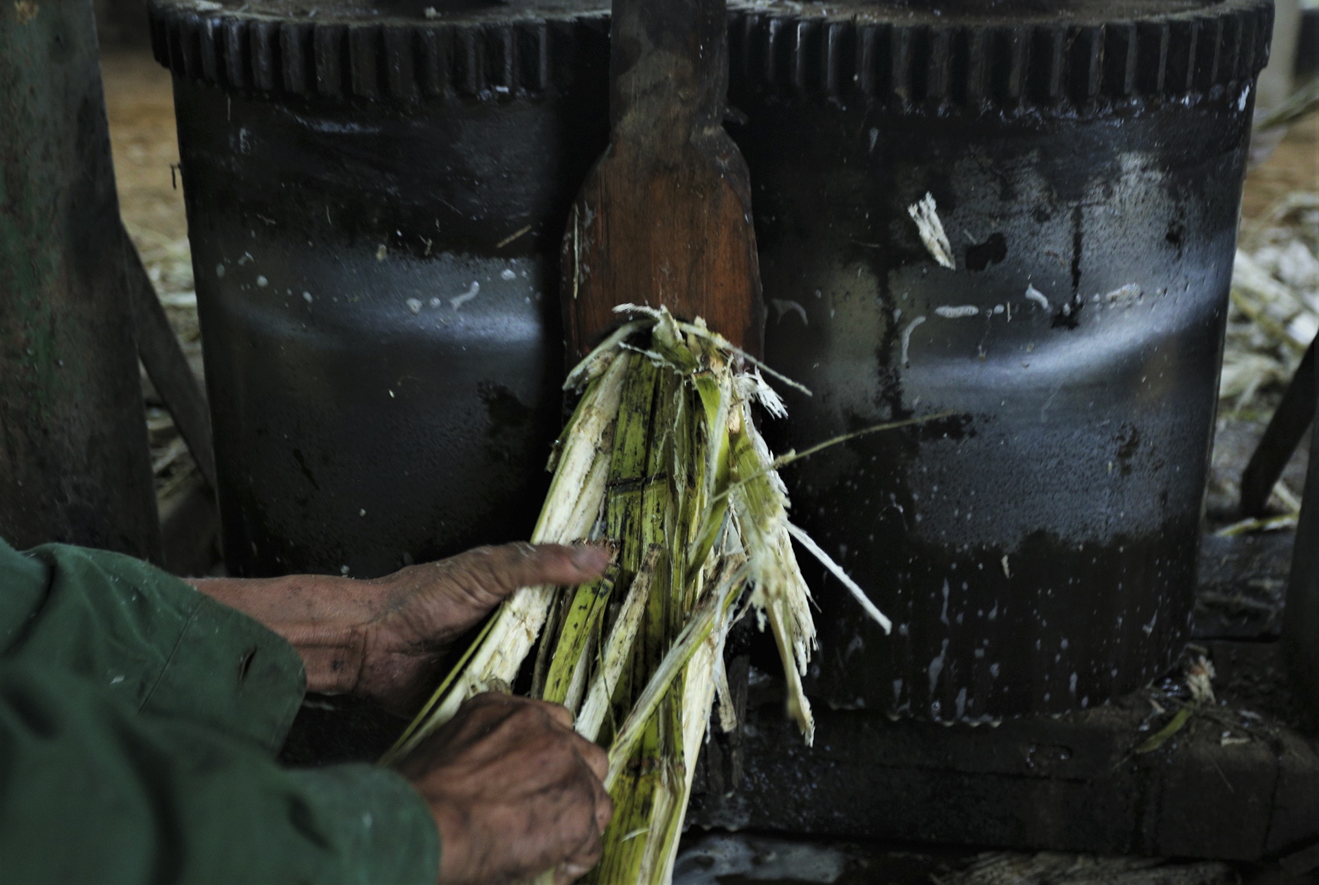 mat mia vao vu anh 4