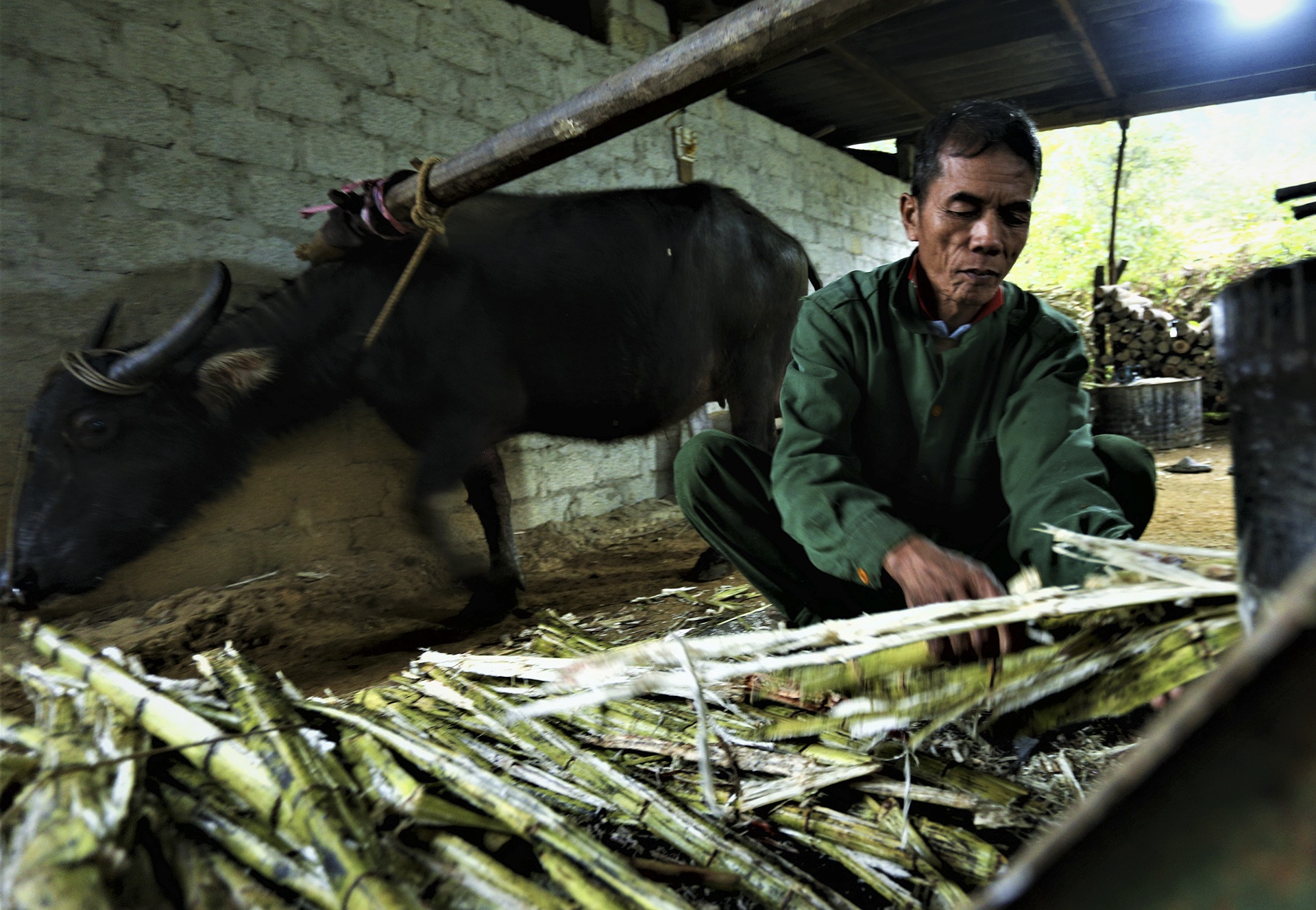 Dung trau ep mia tao mat tu mo sang van khong du hang ban Tet hinh anh