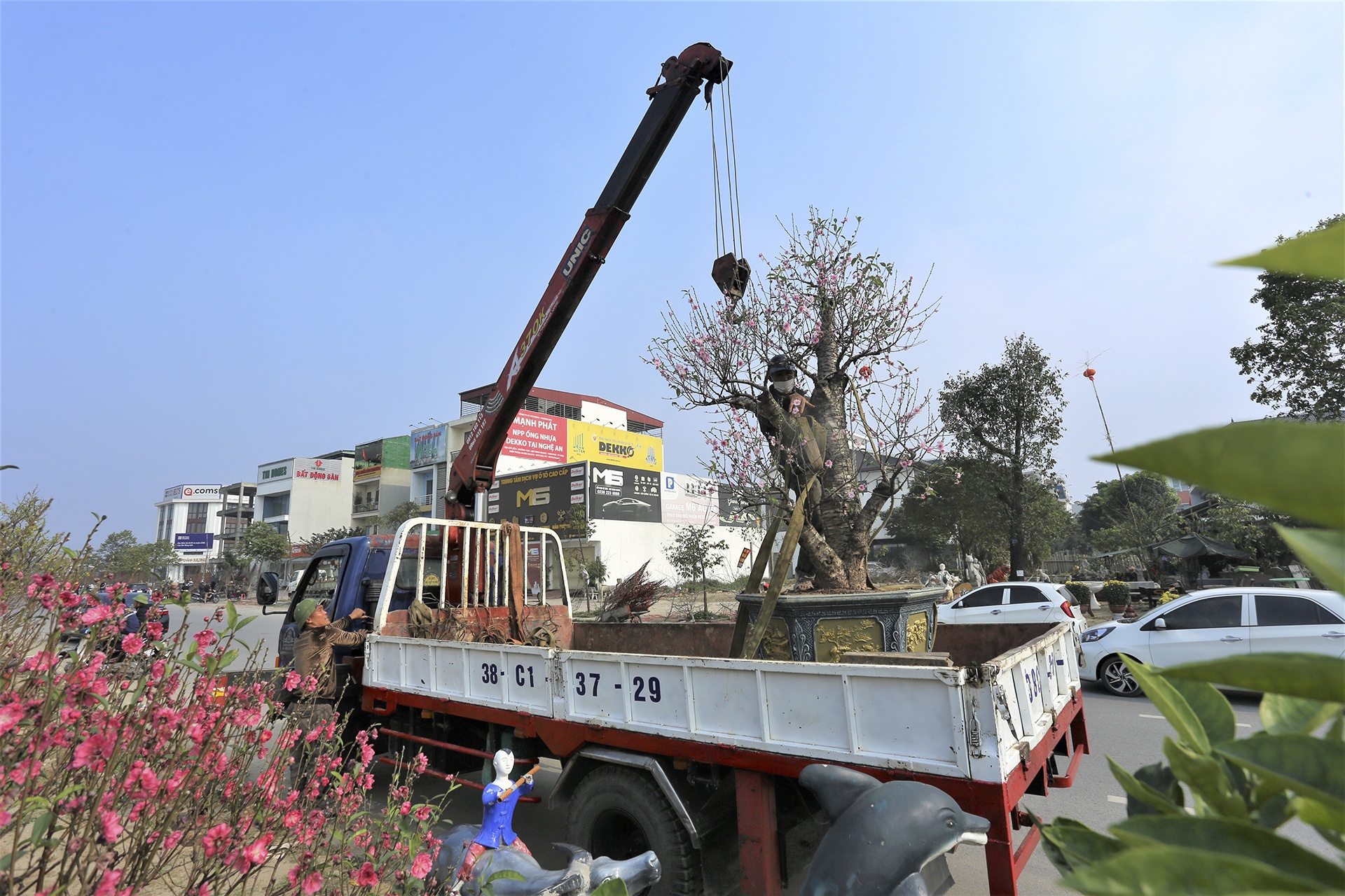 Tet nguyen dan,  dao quat,  cho Tet,  lo von anh 9