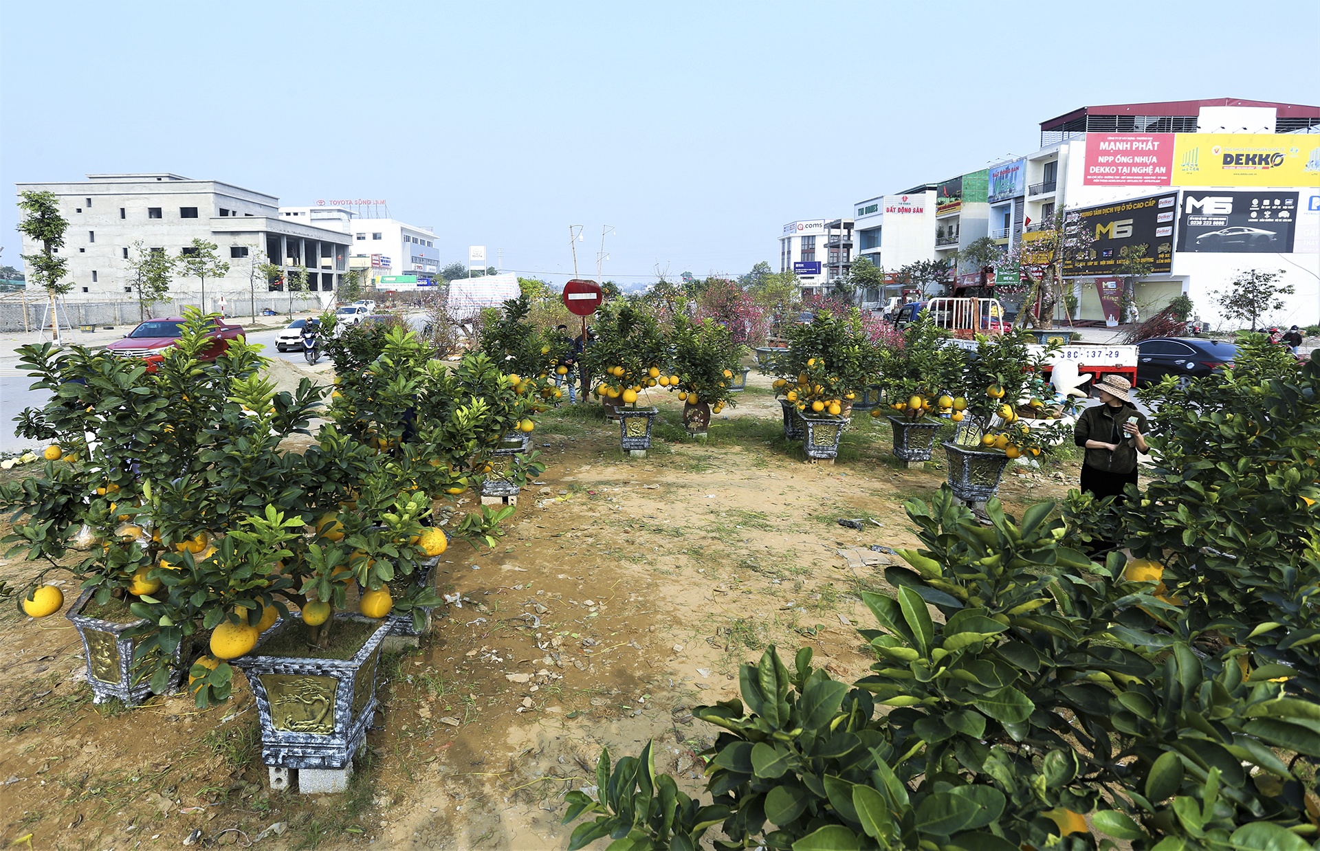 Tet nguyen dan,  dao quat,  cho Tet,  lo von anh 1