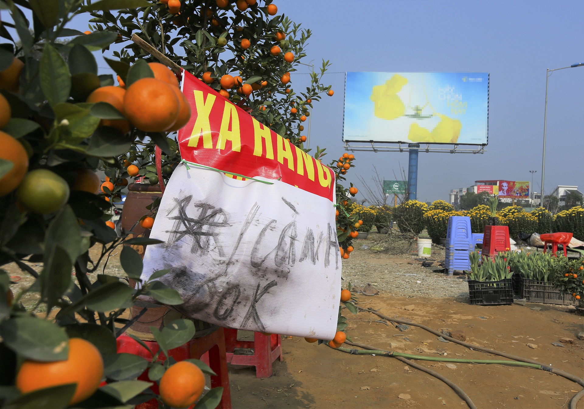 Tet nguyen dan,  dao quat,  cho Tet,  lo von anh 5