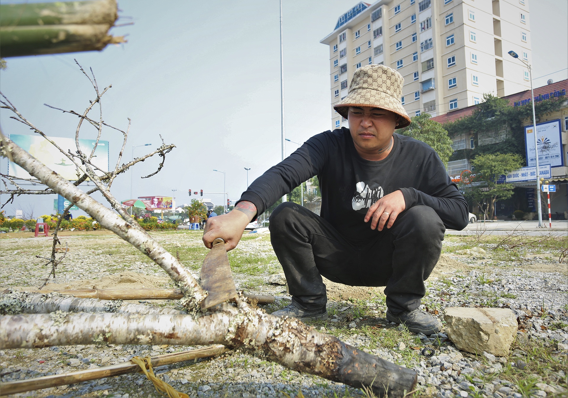 Tet nguyen dan,  dao quat,  cho Tet,  lo von anh 4