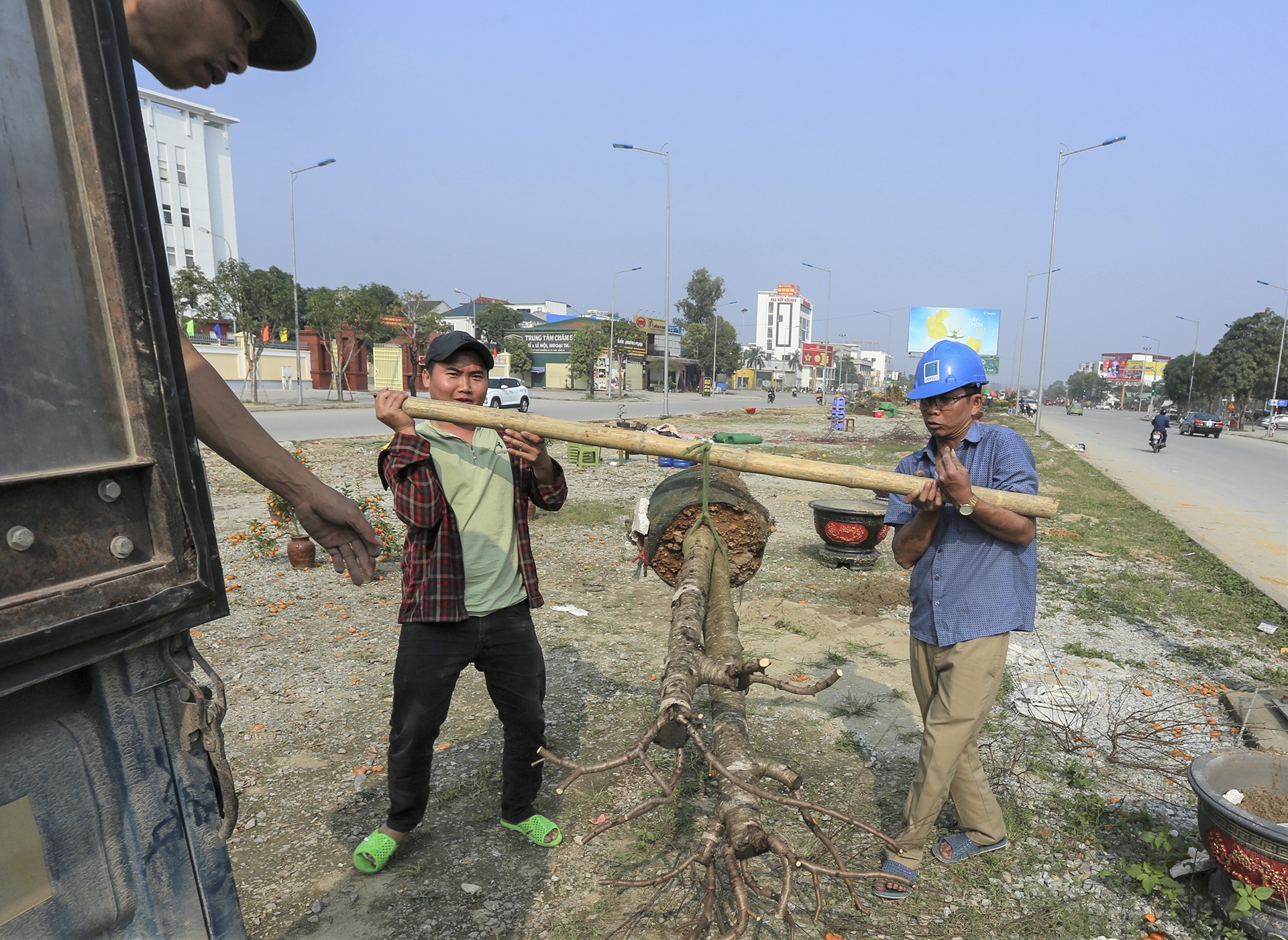 Tet nguyen dan,  dao quat,  cho Tet,  lo von anh 6
