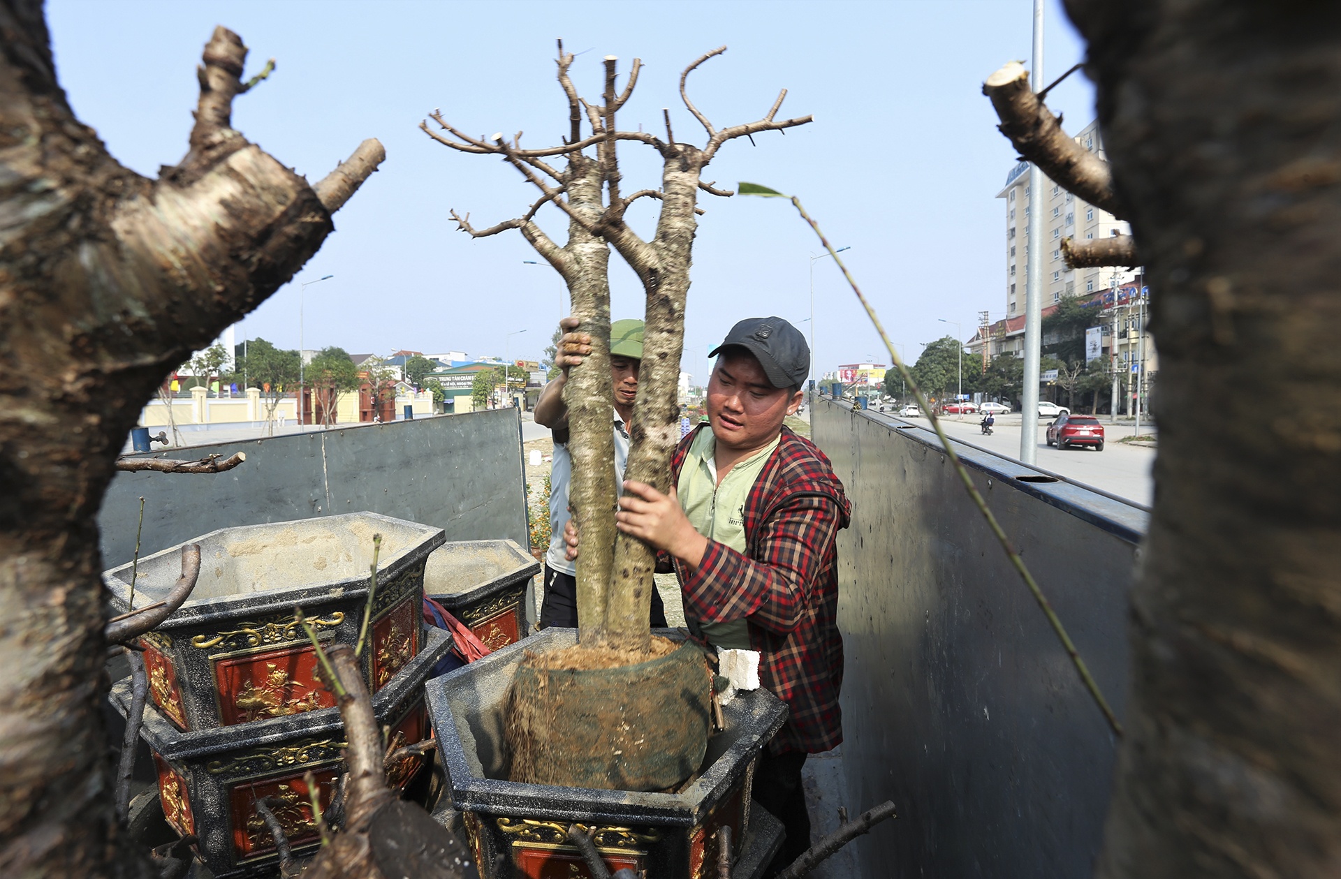 Tet nguyen dan,  dao quat,  cho Tet,  lo von anh 7