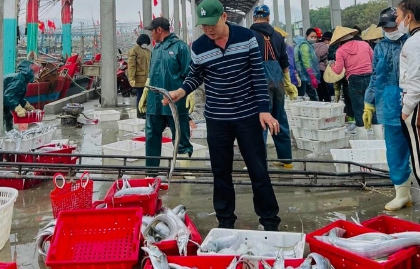 Ngu dan Nghe An lien tiep trung hang chuc tan ca ho hinh anh