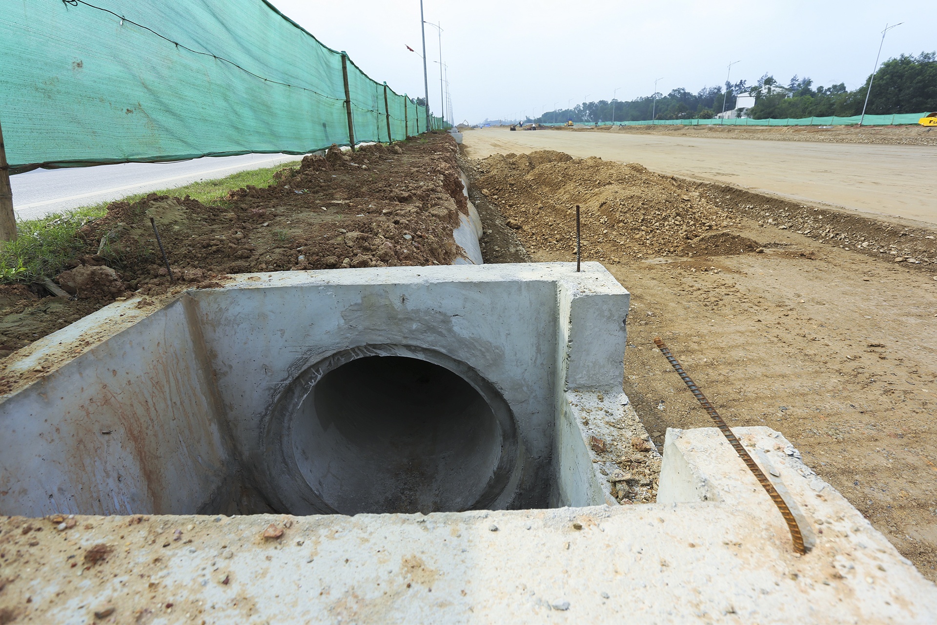 dai lo nghin ty anh 7