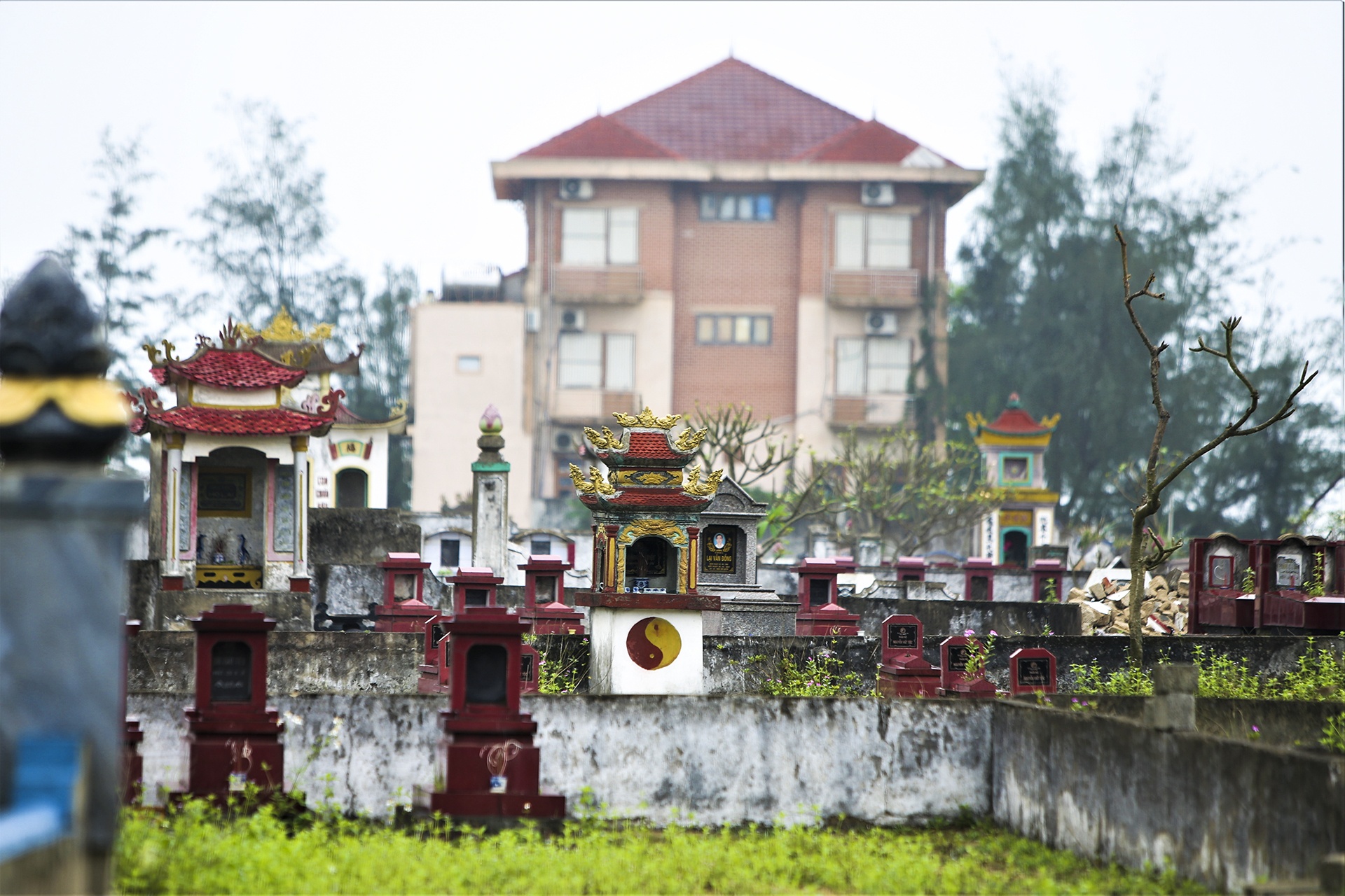 bai bien Thien Cam anh 4
