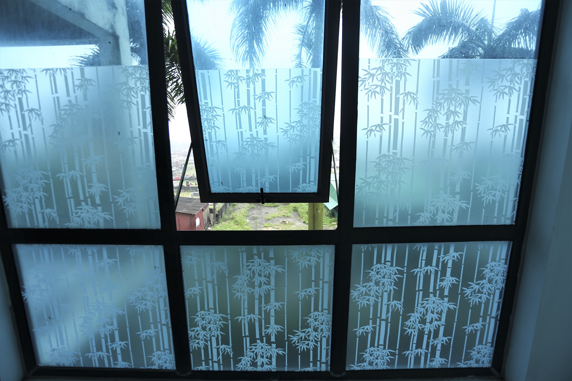 bai bien Thien Cam anh 7