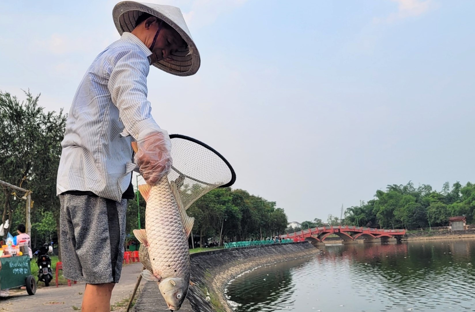 Ca chet trang ho dieu hoa lon nhat TP Ha Tinh hinh anh