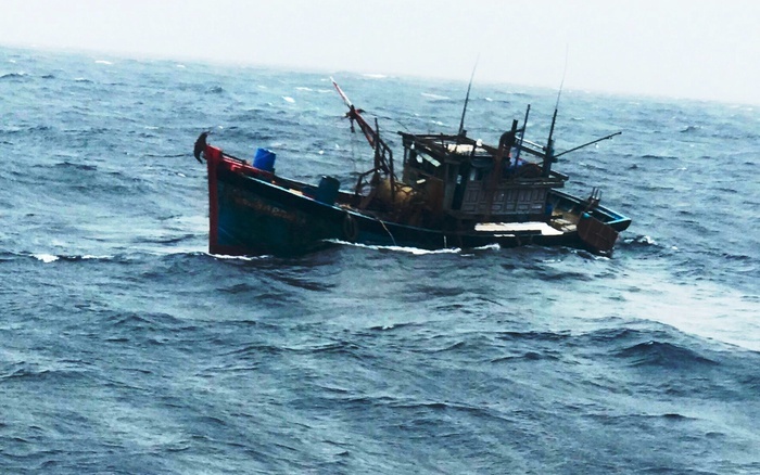 Hai ngu dan mat lien lac tren bien hinh anh