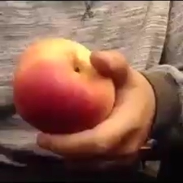 Thu thach nguoi Viet Nam 'be doi trai tao' hinh anh