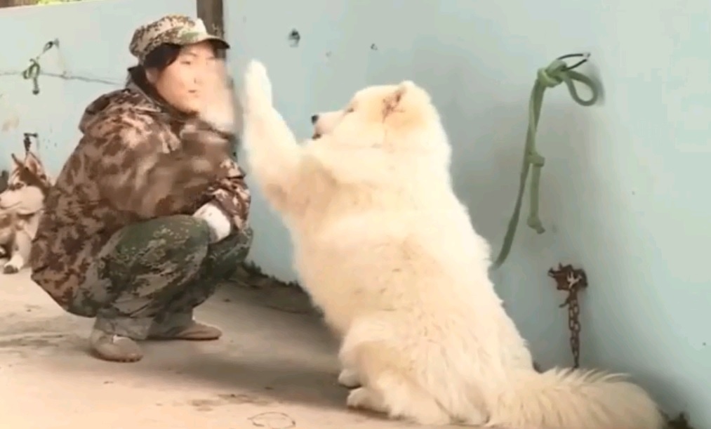 Trung tam huan luyen cho canh theo phong cach cho trinh sat hinh anh