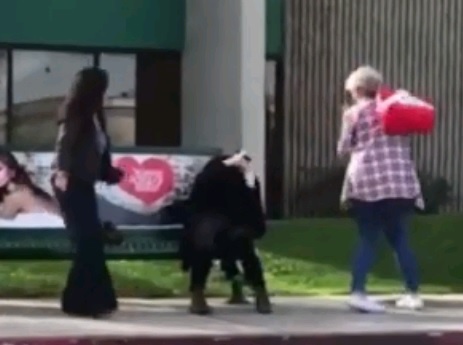 Ao thuat gia gia vo 'ngat dau' nguoi di duong gay kinh hai hinh anh