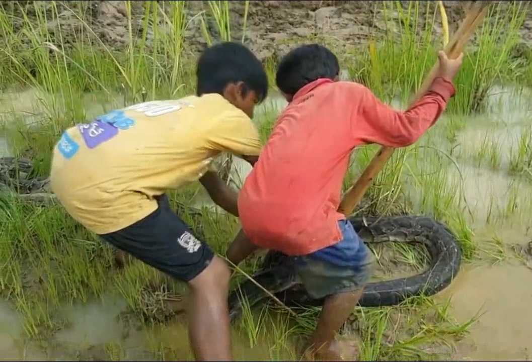 Man bat tran dieu nghe cua em nho Campuchia hinh anh