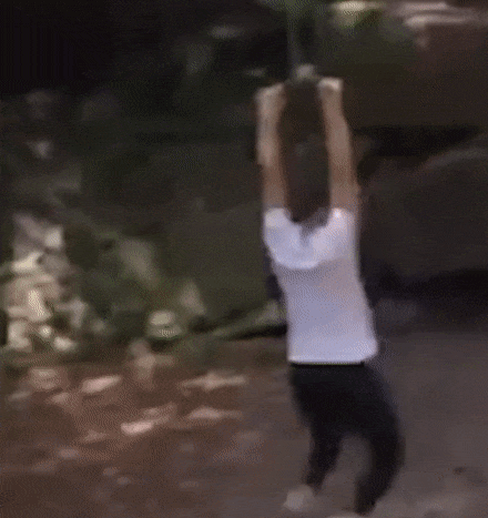 Tro du day day phan khich va nhung tai nan hai huoc hinh anh